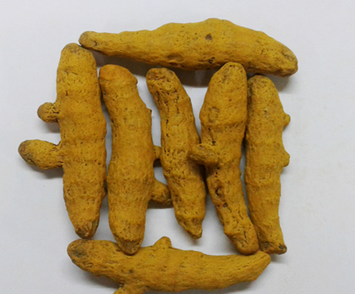 Rajapuni Turmeric