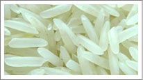 1121 Basmati Rice