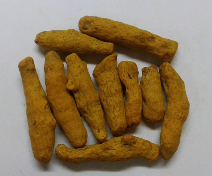 Salem Turmeric