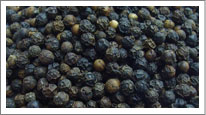 Black Pepper (Kali Mirch)