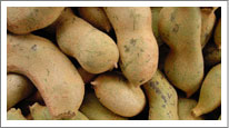 Tamarind (Imli)