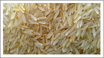 Golden Sella Rice