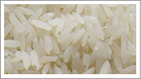 Kolam Rice