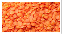 Red Lentil (Masur Dal)